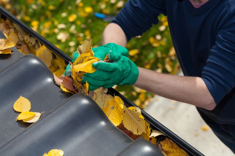 Fall Gutter Preparation